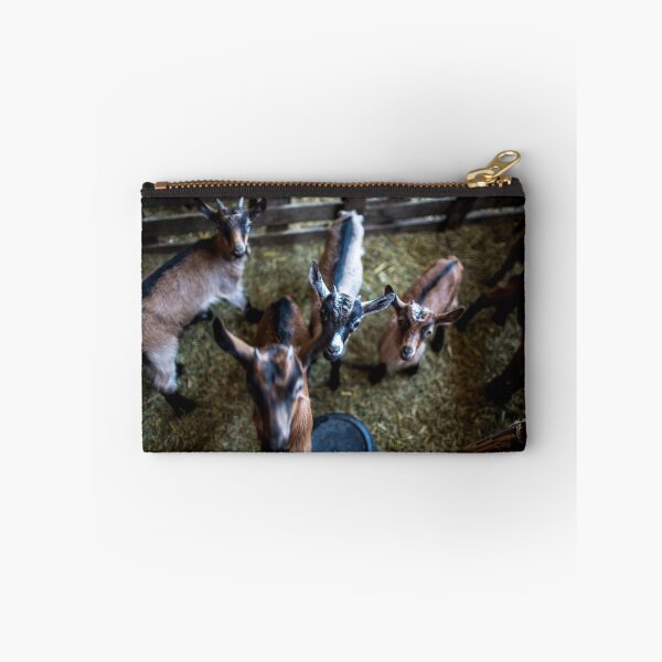 Item preview,  Goat  designed and sold by Srdjan Petrovic.