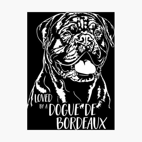 Item preview, Loved by a Dogue de Bordeaux dog dog saying designed and sold by dogarts.