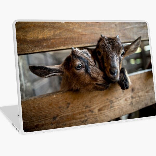 Goat Laptop Skin