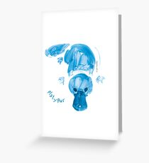 Platypus Greeting Card