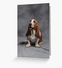 Basset Hound Greeting Card