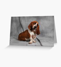 Bassets Everywhere Greeting Card