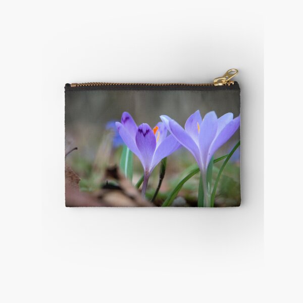 Item preview, Crocuses designed and sold by CameliaC.