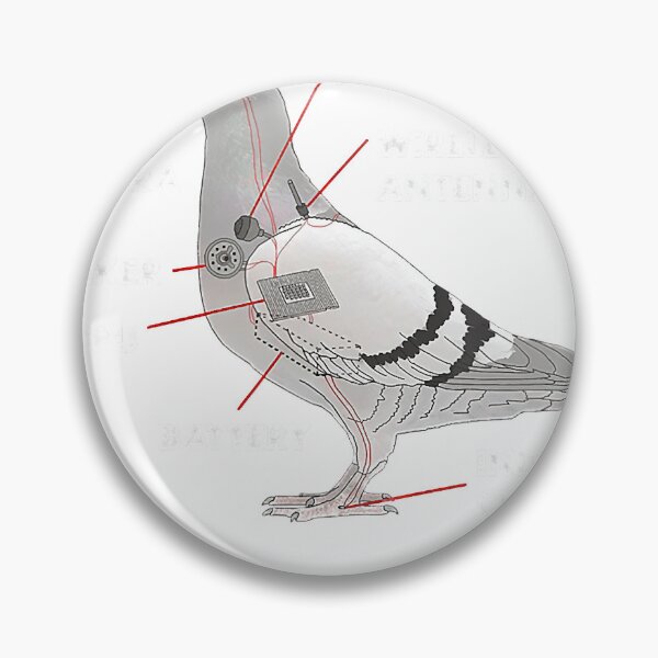 Item preview, If It Flies It Spies Pigeon Anatomy Bird Arent Real  designed and sold by brionprgerdtsn.