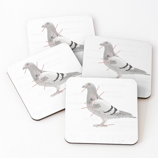 Item preview, If It Flies It Spies Pigeon Anatomy Bird Arent Real  designed and sold by brionprgerdtsn.