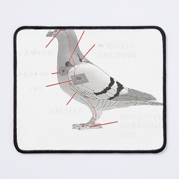 Item preview, If It Flies It Spies Pigeon Anatomy Bird Arent Real  designed and sold by brionprgerdtsn.