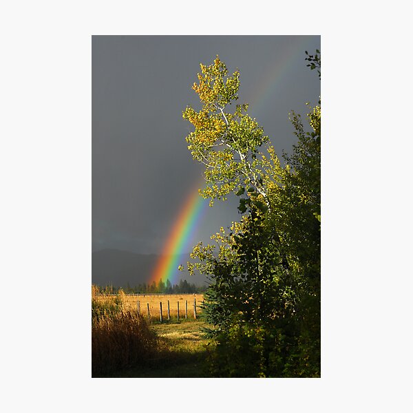 Item preview, Fall Rainbow designed and sold by Janet Houlihan.