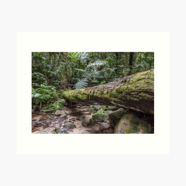 Item preview, Mossman Gorge 3914 designed and sold by Justin Mckinney.