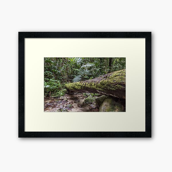 Item preview, Mossman Gorge 3914 designed and sold by Justin Mckinney.