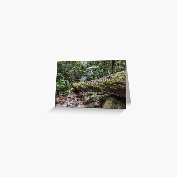Item preview, Mossman Gorge 3914 designed and sold by Justin Mckinney.