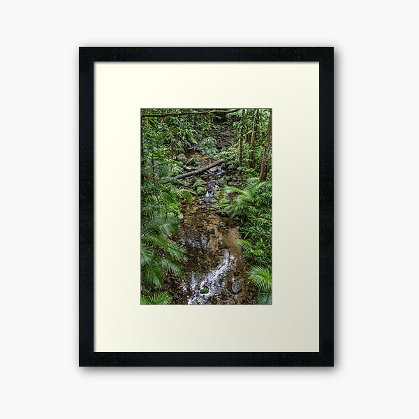 Item preview, Mossman Rainforest 3850 designed and sold by Justin Mckinney.