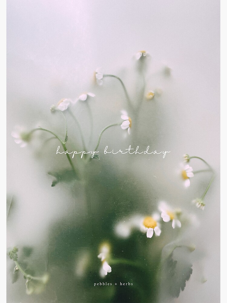 Thumbnail 2 of 2, Greeting Card, darling chamomile // Happy Birthday designed and sold by pebblesandherbs.