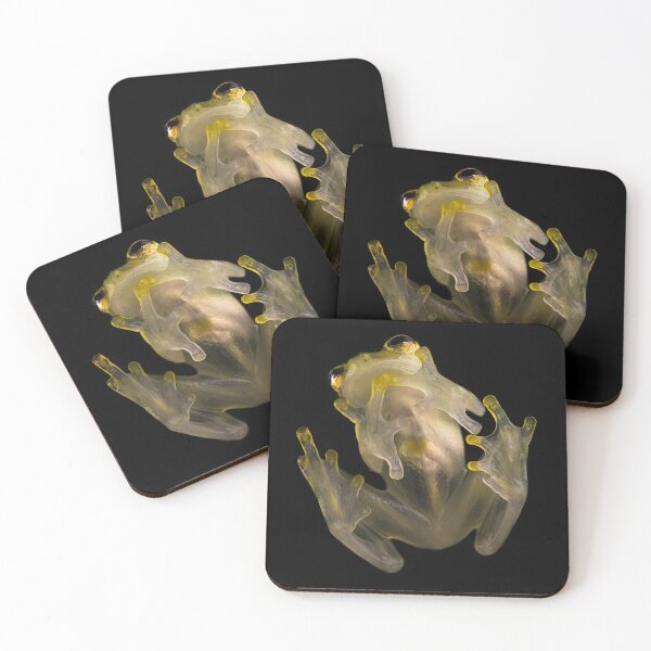 Item preview, Hyalinobatrachium valerioi glassfrog designed and sold by Emanuele Biggi.