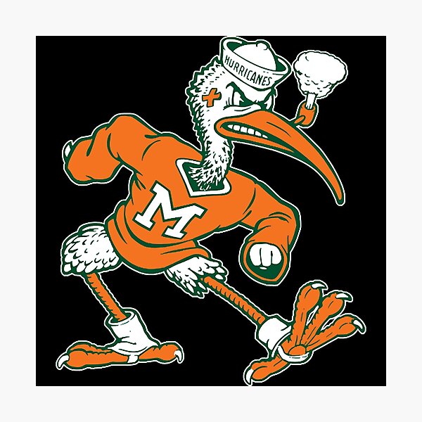 Item preview, Vintage Sebastian Mascot of Univ. of Miami Mascot  designed and sold by Noberfate09.