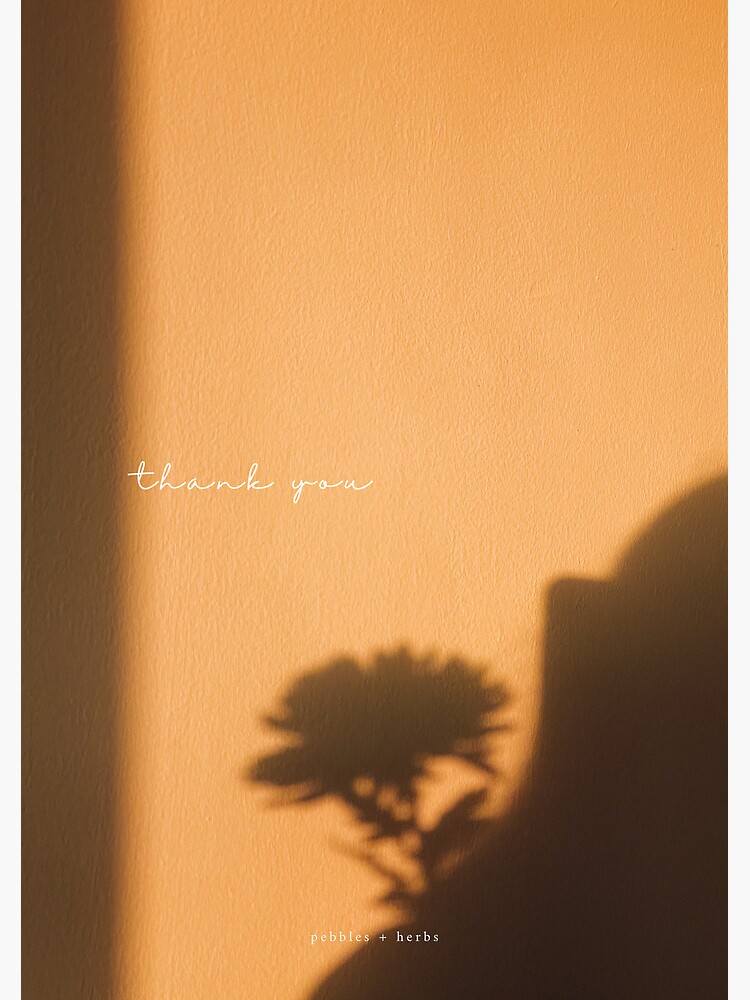 Thumbnail 2 of 2, Greeting Card, sunset daisy // Thank You designed and sold by pebblesandherbs.