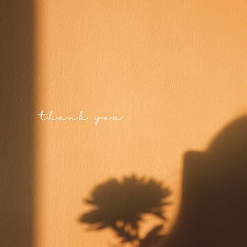 Artwork thumbnail, sunset daisy // Thank You by pebblesandherbs