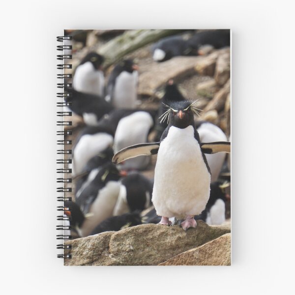 Item preview, Rockhopper Penguin, Falklands designed and sold by westgoeseast.
