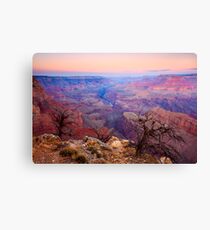 Grand Canyon Dawn Canvas Print