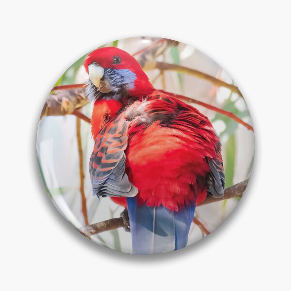 Item preview, Crimson Rosella #1 designed and sold by Peter Hocking.