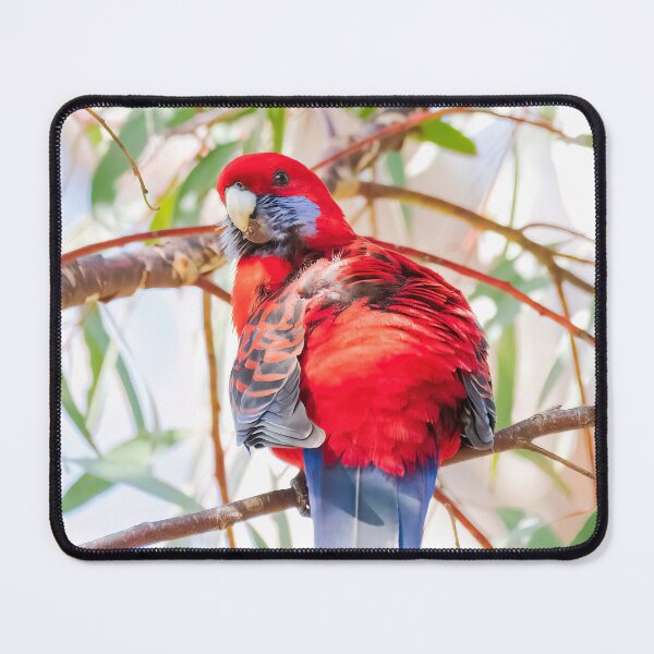 Item preview, Crimson Rosella #1 designed and sold by Peter Hocking.