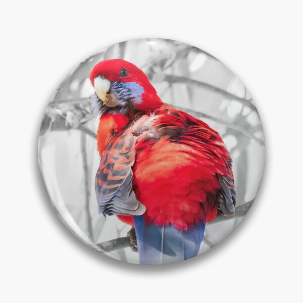 Artikelvorschau, Purpurrote Rosella Nr. 2 entworfen und verkauft von Peter Hocking.