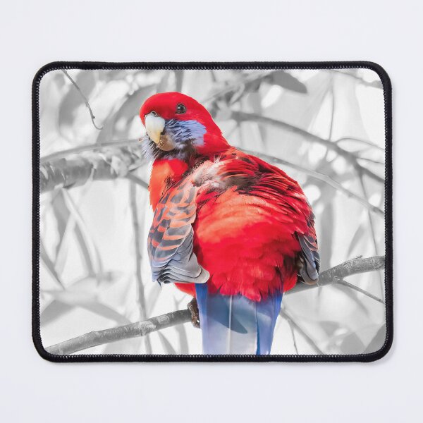 Item preview, Crimson Rosella #2 designed and sold by Peter Hocking.