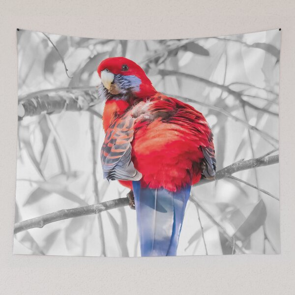Item preview, Crimson Rosella #2 designed and sold by Peter Hocking.