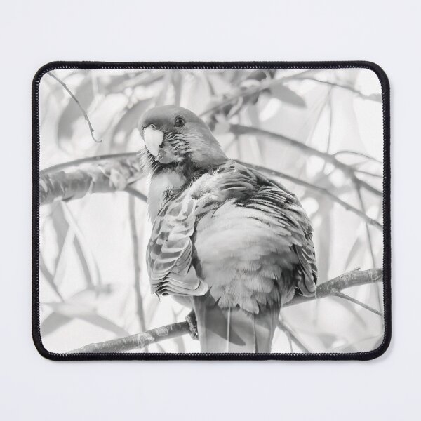 Item preview, Crimson Rosella #3 designed and sold by Peter Hocking.