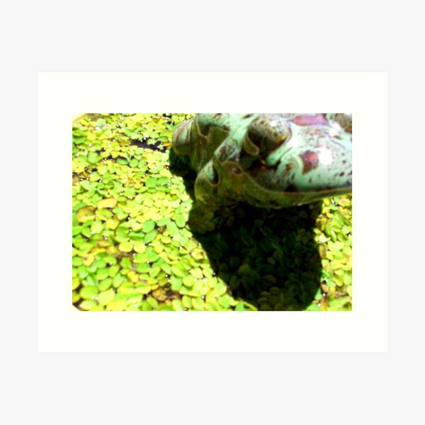 Item preview, Pond guardian designed and sold by Gozza.