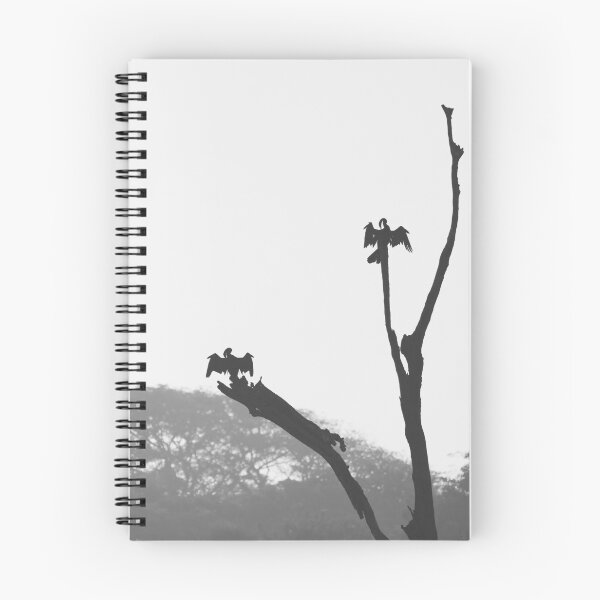 Item preview, Little Cormorant having sunbathing designed and sold by kasthu.