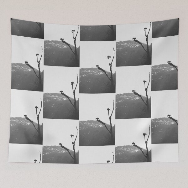 Item preview, Little Cormorant having sunbathing designed and sold by kasthu.