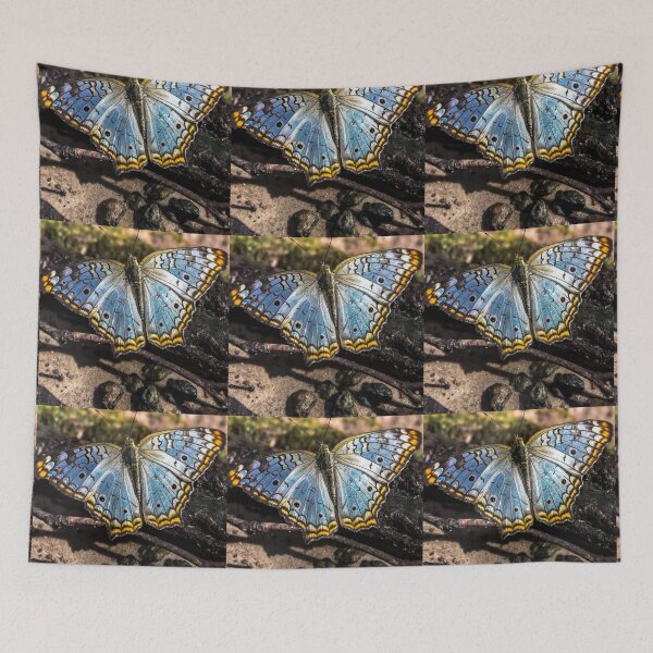 Item preview, blue butterfly. designed and sold by Nino rocha fotografia.