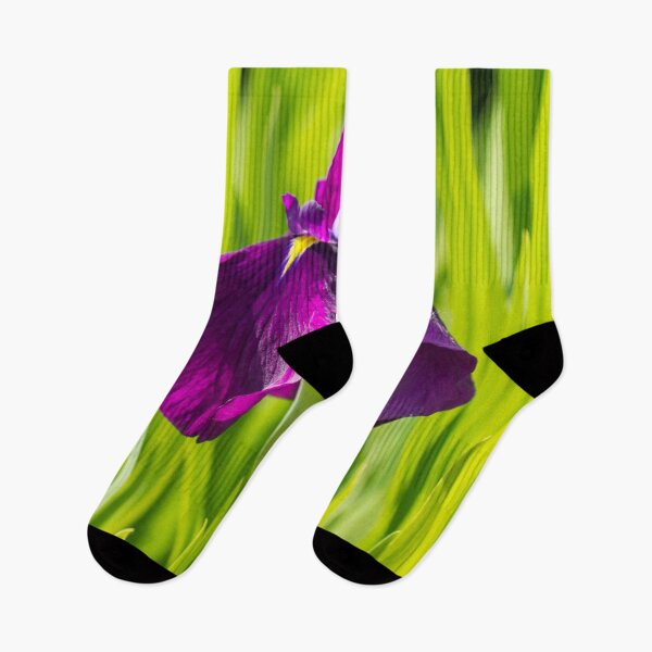 Item preview, An Exquisite Rich Violet Iris - Sunny Summertime Floral designed and sold by Georgia Mizuleva.