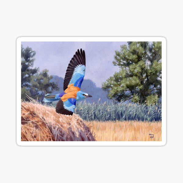 European Roller Sticker