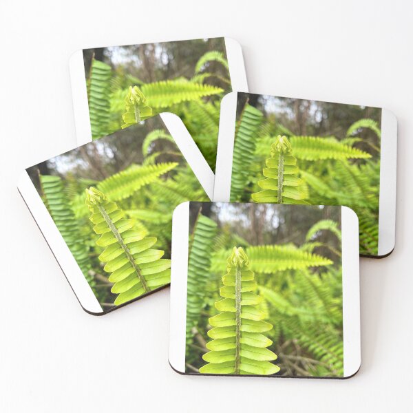 Item preview, Ferns designed and sold by Jason Tompkins.
