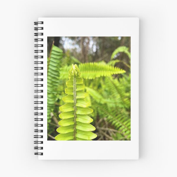 Item preview, Ferns designed and sold by Jason Tompkins.