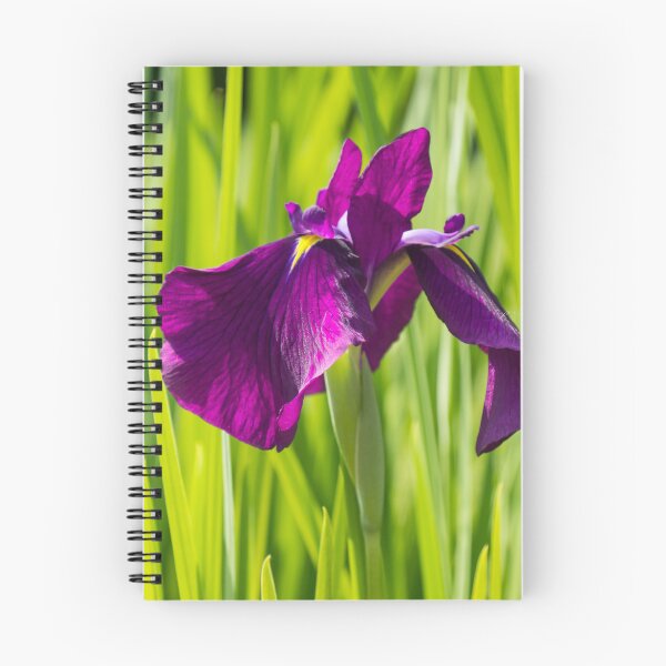 Item preview, An Exquisite Rich Violet Iris - Sunny Summertime Floral designed and sold by Georgia Mizuleva.