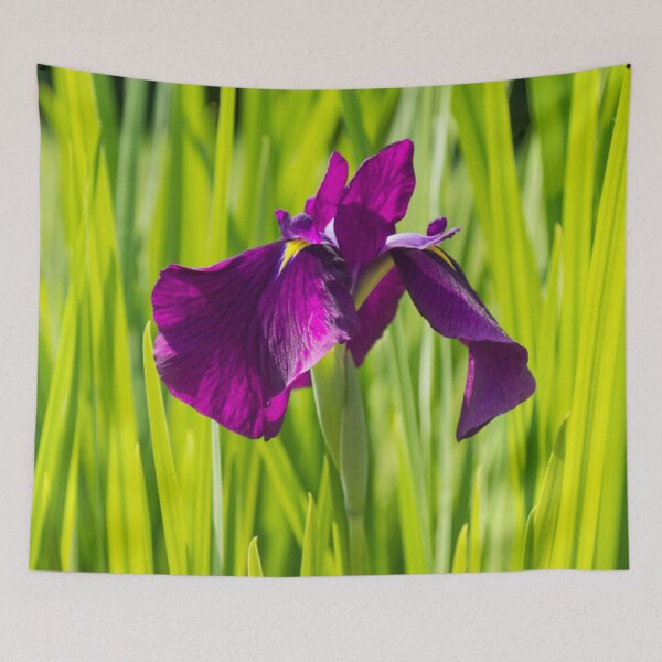 Item preview, An Exquisite Rich Violet Iris - Sunny Summertime Floral designed and sold by Georgia Mizuleva.