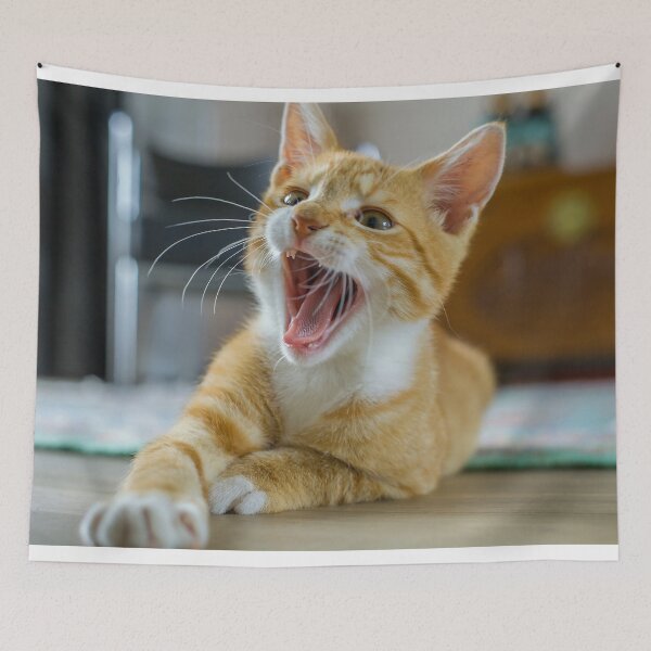 Item preview, Yawning kitty designed and sold by Photopat.