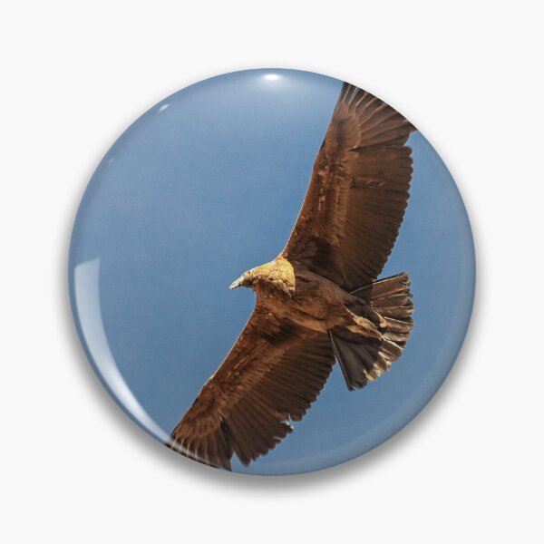 Item preview, Flying condor in Peru designed and sold by Photopat.