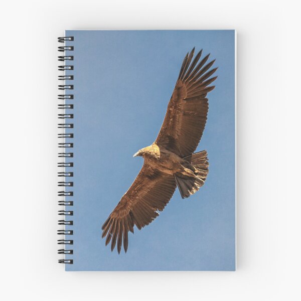 Item preview, Flying condor in Peru designed and sold by Photopat.