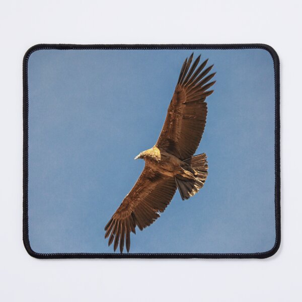 Item preview, Flying condor in Peru designed and sold by Photopat.