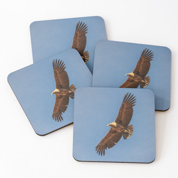 Item preview, Flying condor in Peru designed and sold by Photopat.