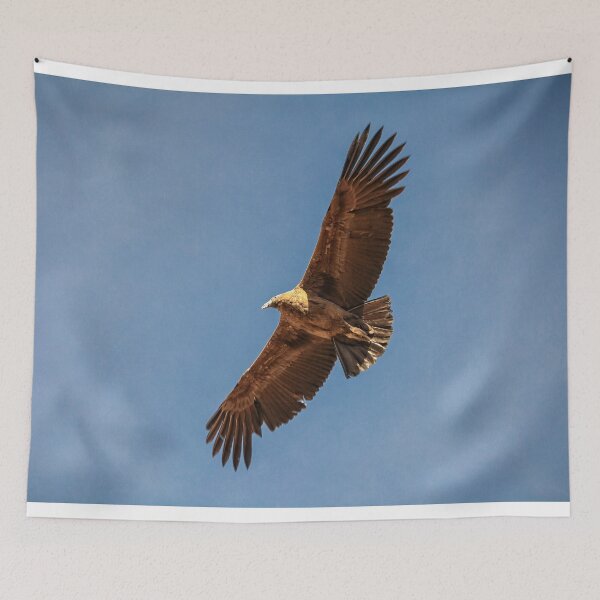 Item preview, Flying condor in Peru designed and sold by Photopat.