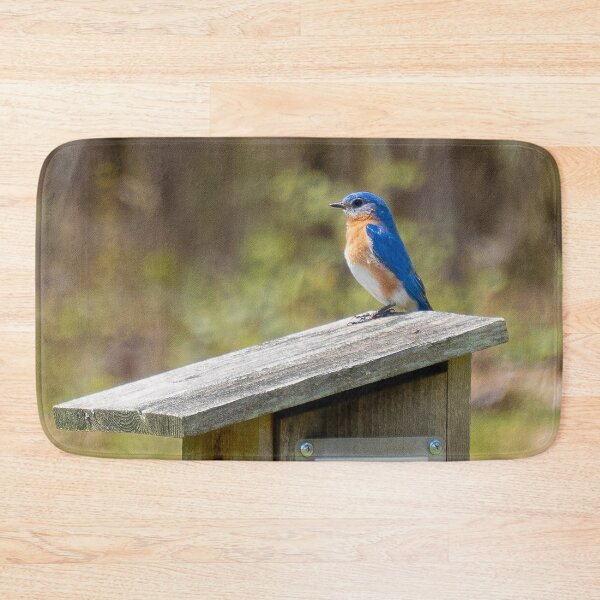 Item preview, Eastern Blue Bird designed and sold by Lauren1235.