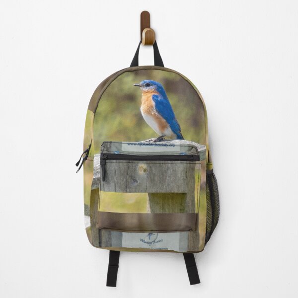 Item preview, Eastern Blue Bird designed and sold by Lauren1235.