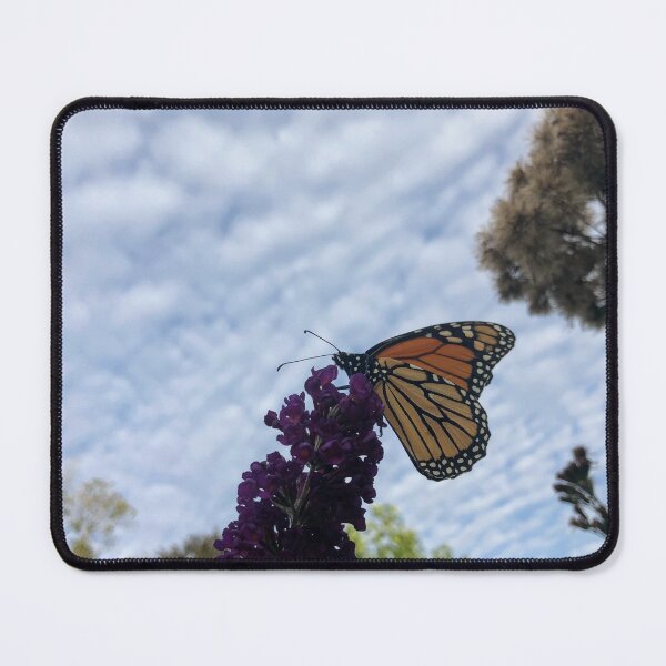 Item preview, Monarch Butterfly designed and sold by emiliapapaya.