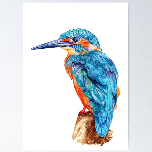 Kingfisher Color Splashed Digital Painting, Water Color Style