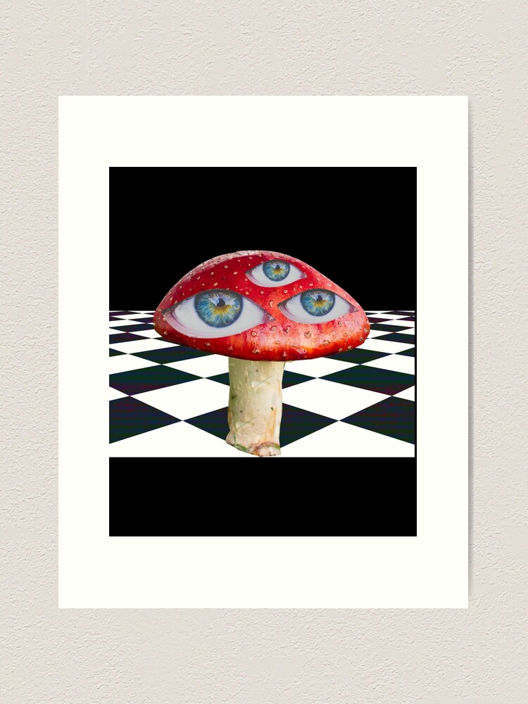mushroomページ fcp,x_large,wall_texture,