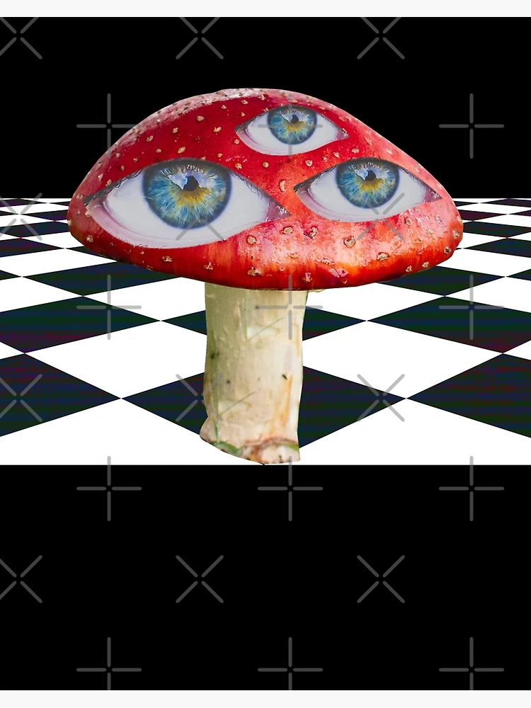 Weirdcore mushroom! F3tchth3r0b0td0g - Illustrations ART street